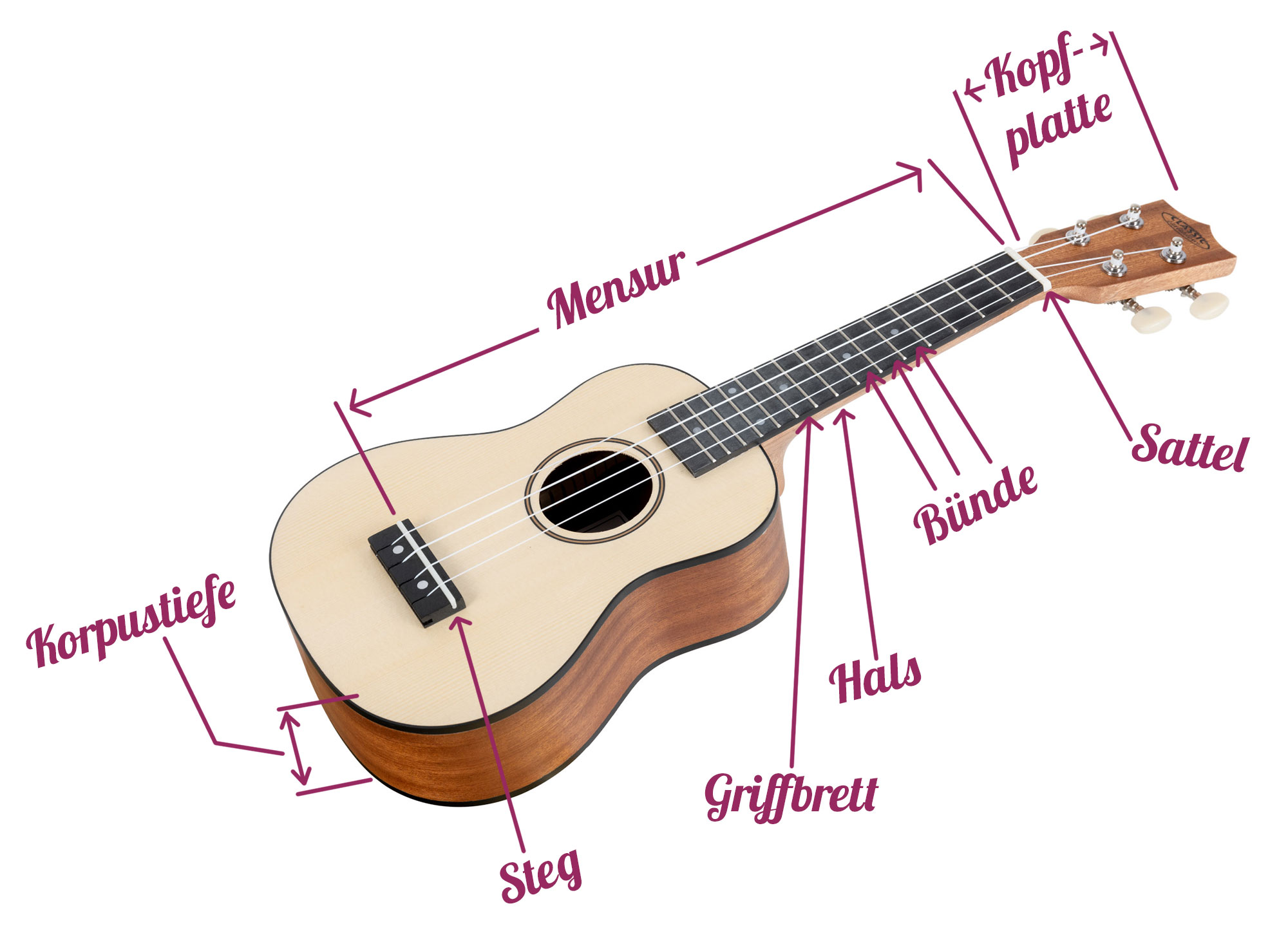 Bezeichnungen bei Ukulelen.
